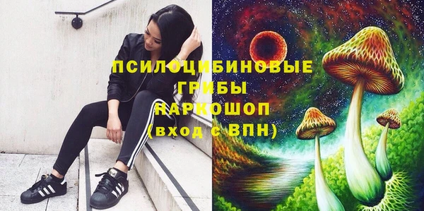 индика Нягань