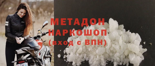 индика Нягань