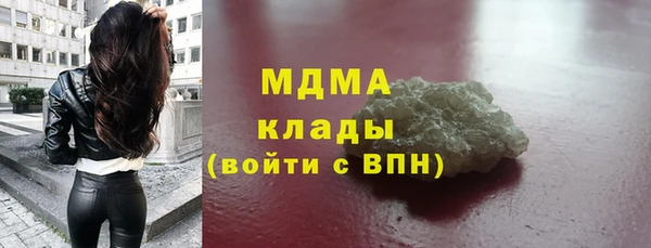 индика Нягань