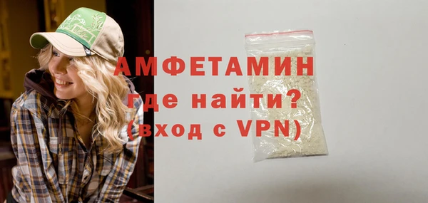 индика Нягань