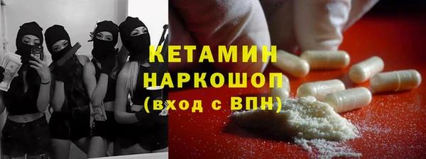 индика Нягань