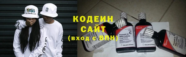 индика Нягань