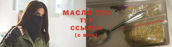 индика Нягань
