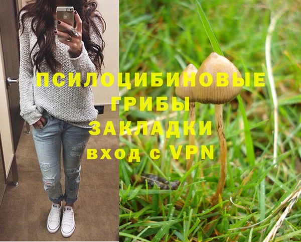 индика Нягань