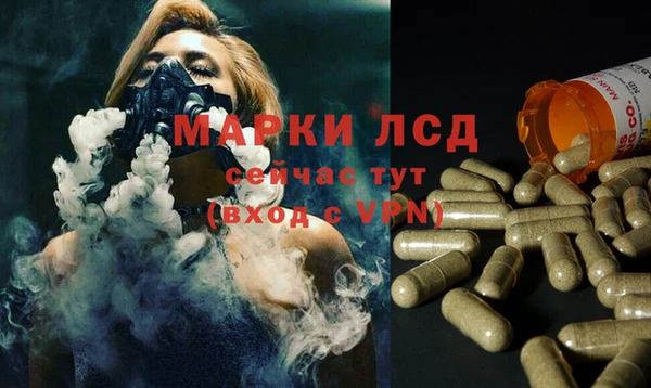 стаф Няндома