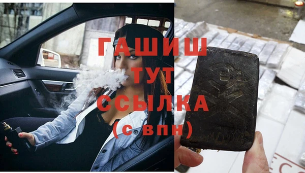 стаф Няндома