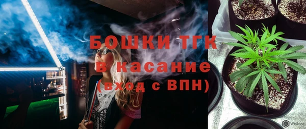 индика Нягань