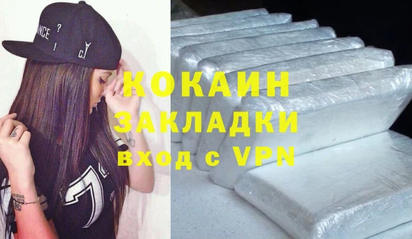 индика Нягань