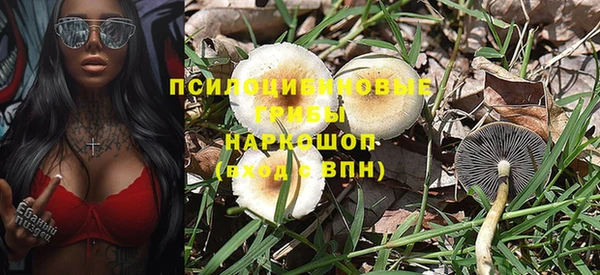 индика Нягань