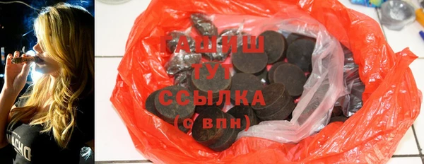 индика Нягань