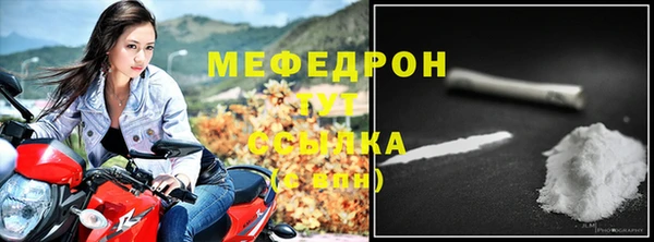 индика Нягань
