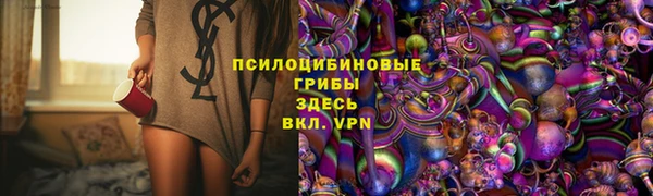стаф Няндома