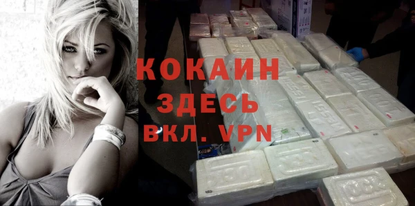 индика Нягань
