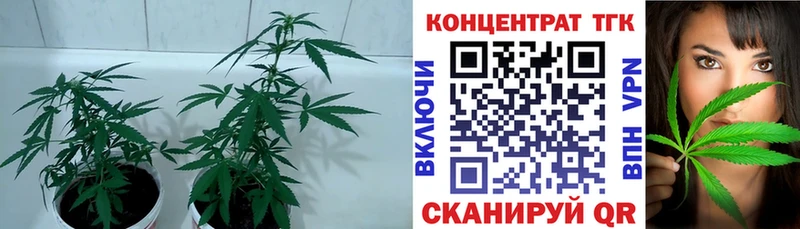 купить  цена  дарк нет официальный сайт  Дистиллят ТГК жижа  Кириллов 