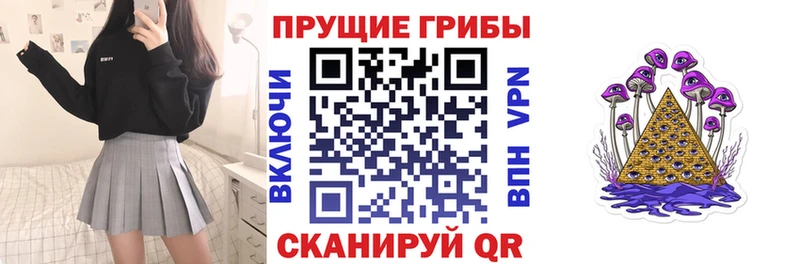 Псилоцибиновые грибы Psilocybe  Кириллов 