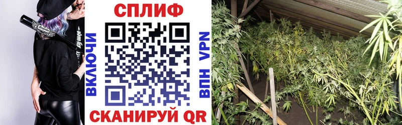 Каннабис Bruce Banner  Кириллов 